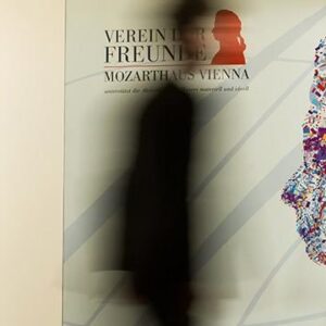 Verein der Freunde Mozarthauses Vienna Eingang